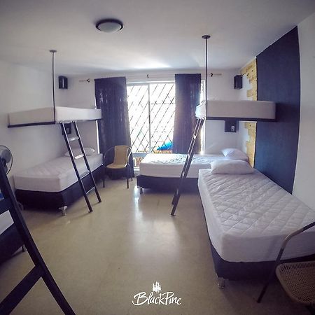 Blackpine Hostel Меделин Екстериор снимка