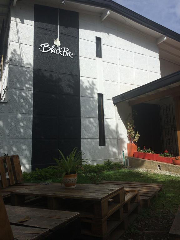 Blackpine Hostel Меделин Екстериор снимка