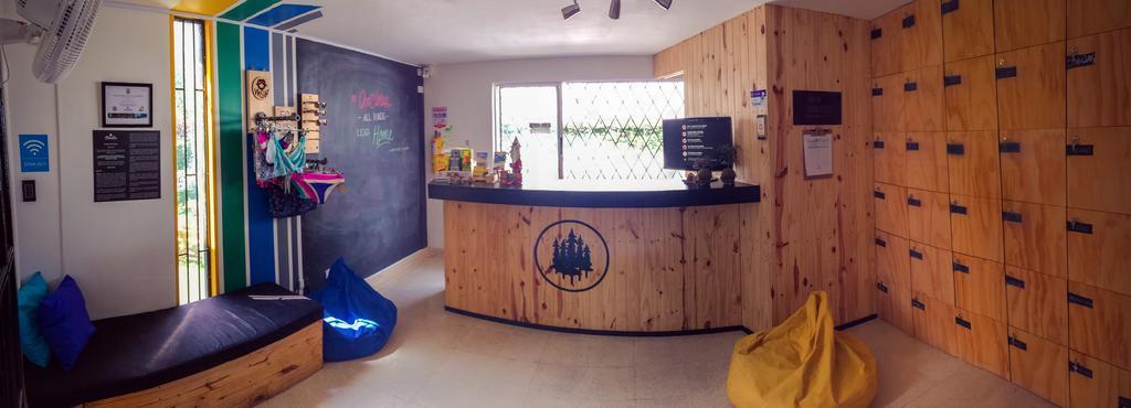 Blackpine Hostel Меделин Екстериор снимка