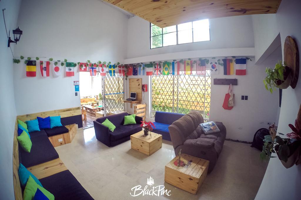 Blackpine Hostel Меделин Екстериор снимка