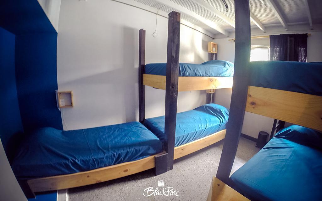 Blackpine Hostel Меделин Екстериор снимка