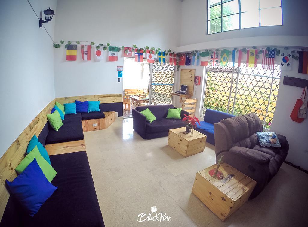 Blackpine Hostel Меделин Екстериор снимка