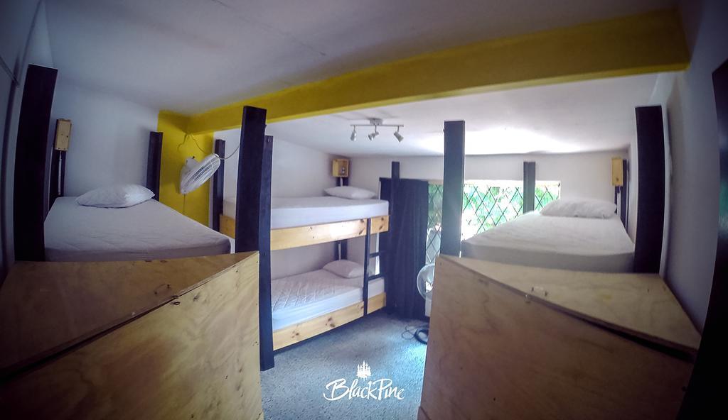 Blackpine Hostel Меделин Екстериор снимка