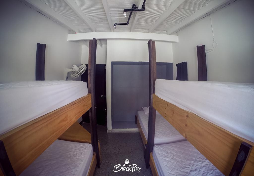Blackpine Hostel Меделин Екстериор снимка