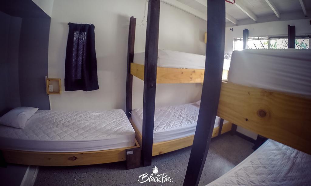 Blackpine Hostel Меделин Екстериор снимка